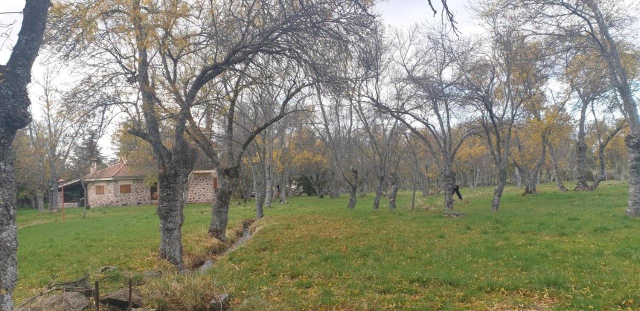 Exclusiva Casa Y Finca Privada Itos Pelayos del Arroyo المظهر الخارجي الصورة